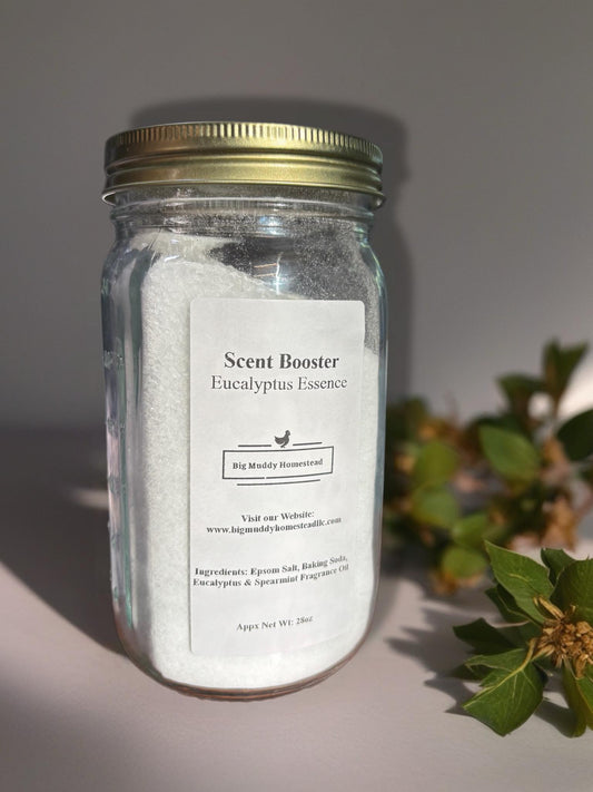 Laundry Scent Booster - Eucalyptus Essence